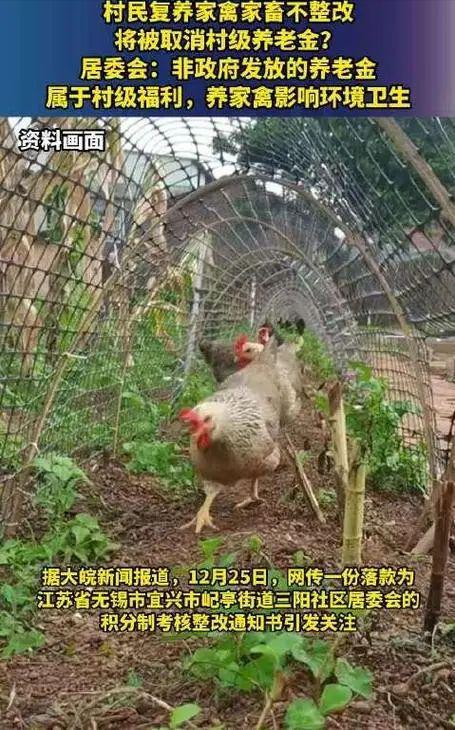 家禽养殖与养老金挂钩 江苏回应卫生整治下的争议