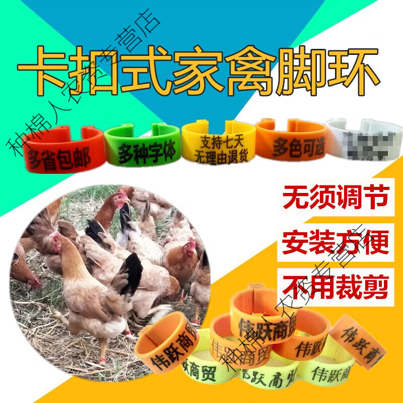 家禽养殖必备 鸡鸭鹅用记号环与脚环识别环的应用与选购指南