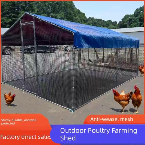 室外养殖解决方案 高效组装家禽棚舍与鸡笼